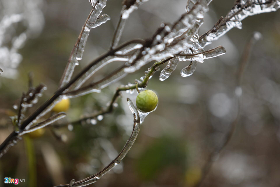 Cận cảnh băng giá kỳ thú ở Sa Pa